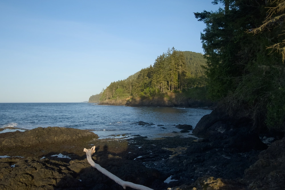 View east along the coast at Salt Creek Recreation Area in Washington.