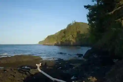 View east along the coast at Salt Creek Recreation Area in Washington. Note: image is hyper-compressed with javascript disabled.