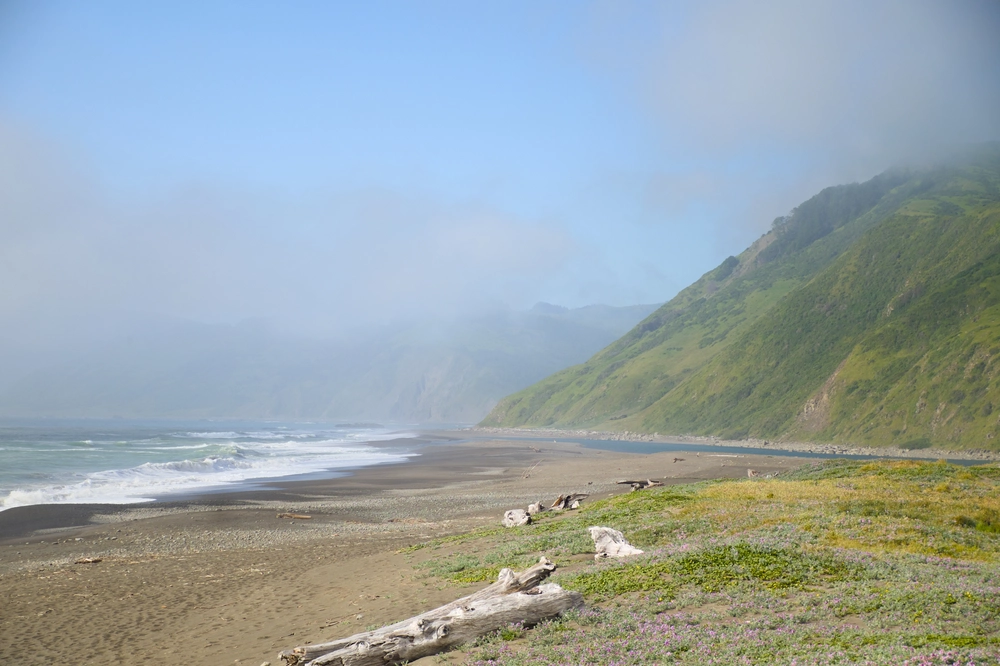 Looking north along the coast from Mattole Beach.
