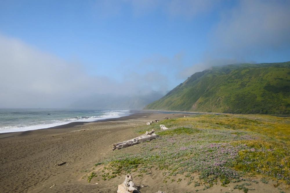 Looking north along the coast from Mattole Beach.