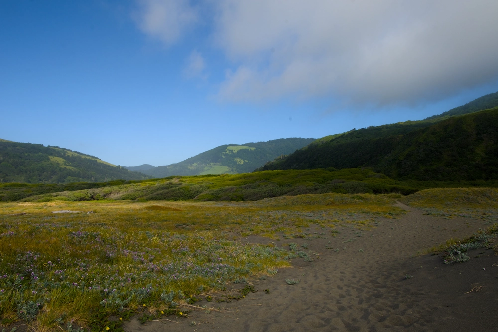 Looking inland (east) along the coast from Mattole Beach.