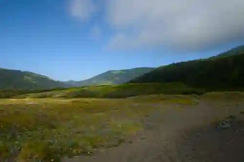 Looking inland (east) along the coast from Mattole Beach. Note: image is hyper-compressed with javascript disabled.