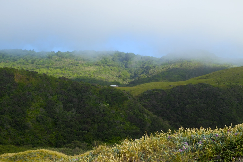Looking inland (southeast) along the coast from Mattole Beach at a distant barn on the hill.