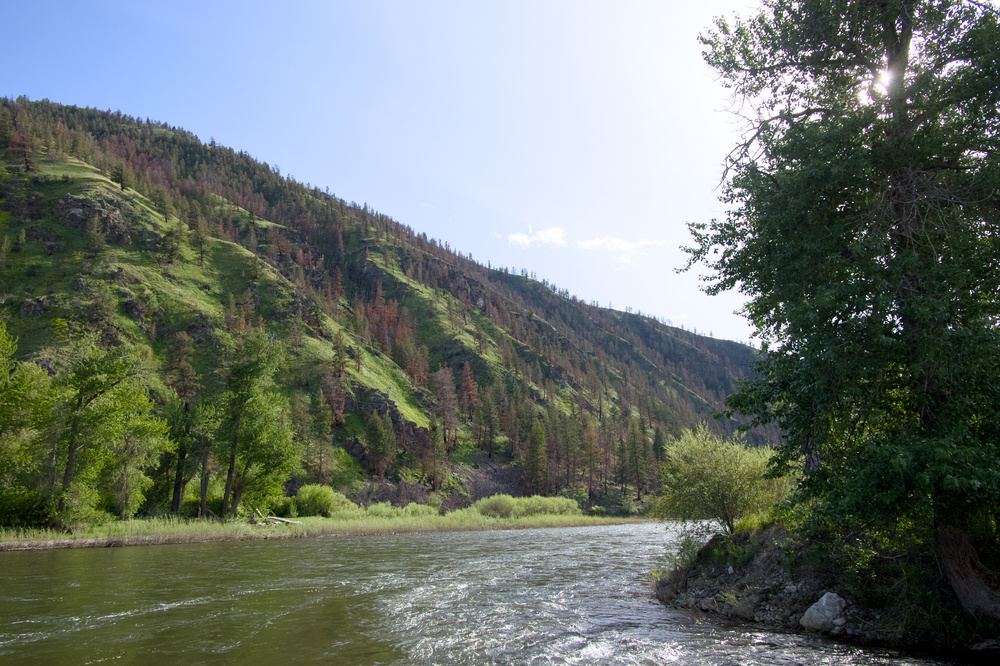 A river and hillside in east Idaho.